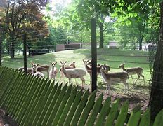 regels voor het alerteren